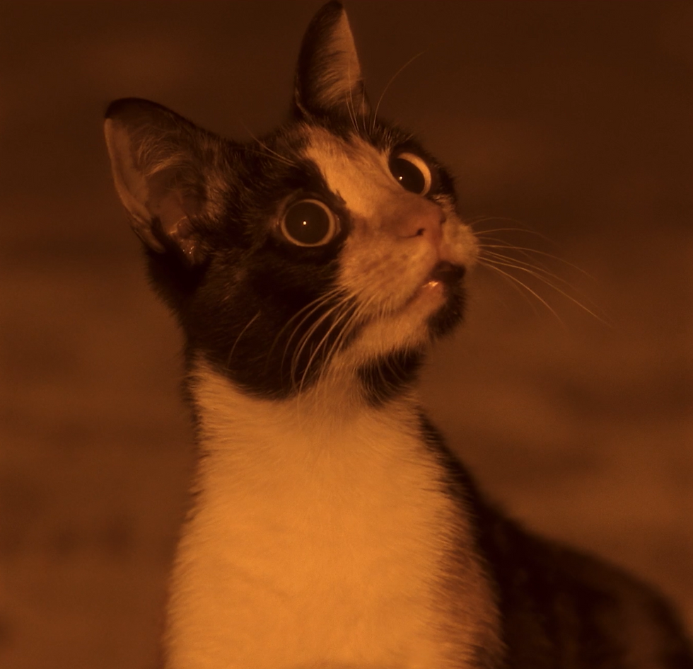 Screenshot 2026-05-01 112231.png