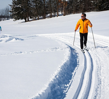 cross-country-skier-gd050c9e60_1280.jpg