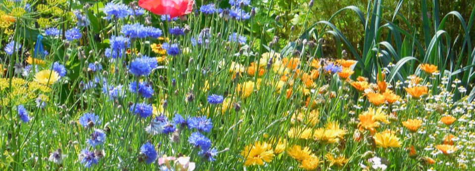 Let your day begin with steady presence. Qigong and polyvagal breathwork nurture resilience.