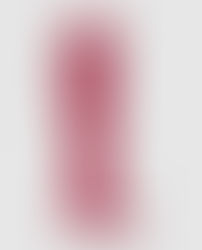 NO TE BAJES LAS BOTAS