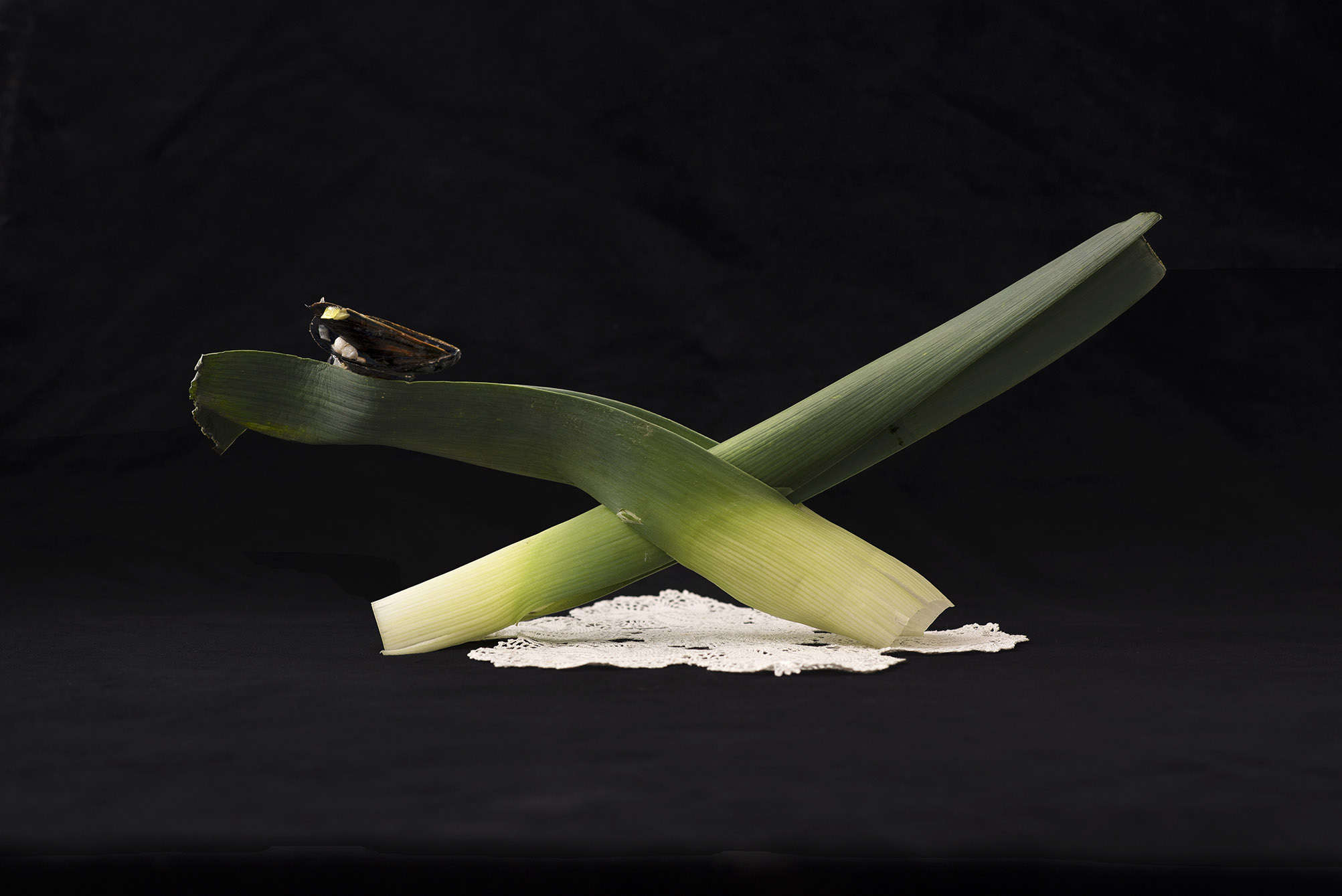Monday's dinner- Mussels and leeks