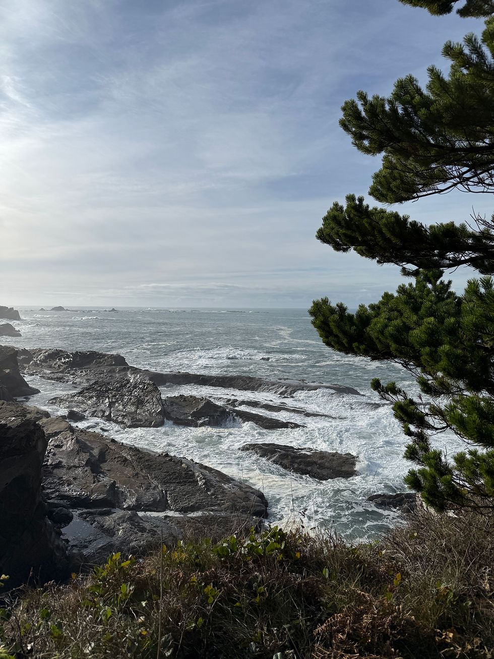 Waves spraying on the rocky coastline in Oregon with a green pine tree in the right corner.