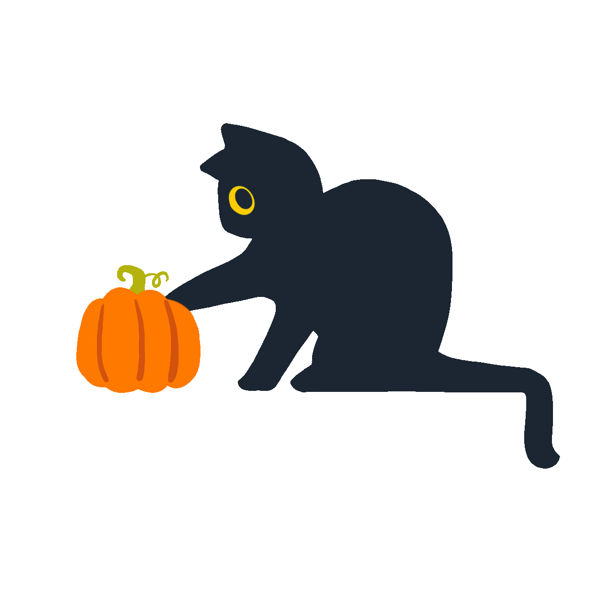 10-Cat