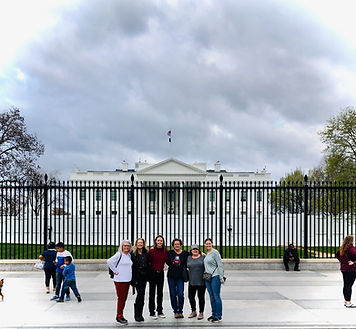 Karue Travels Cherry Blossom Festival 2023 -26.jpeg