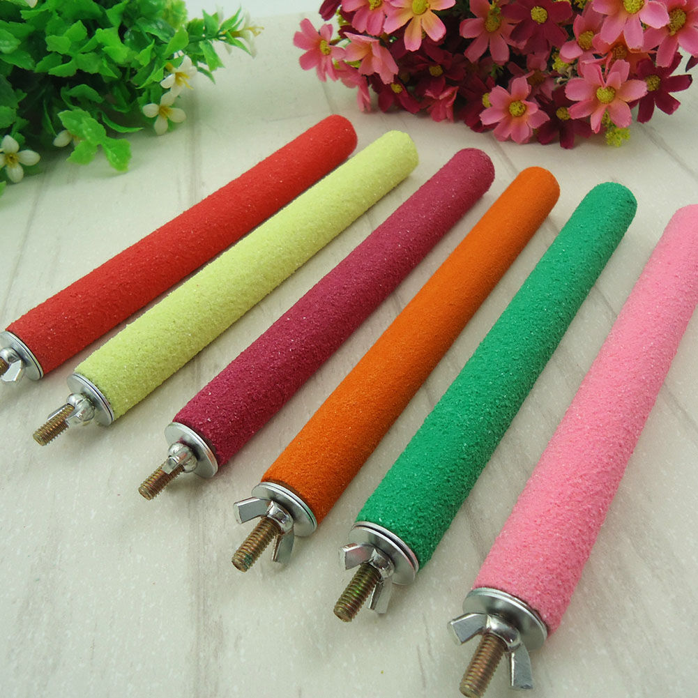 Bird Claw Beak Grinding Bar 1 piece of random color Parrot Perching Station Pla