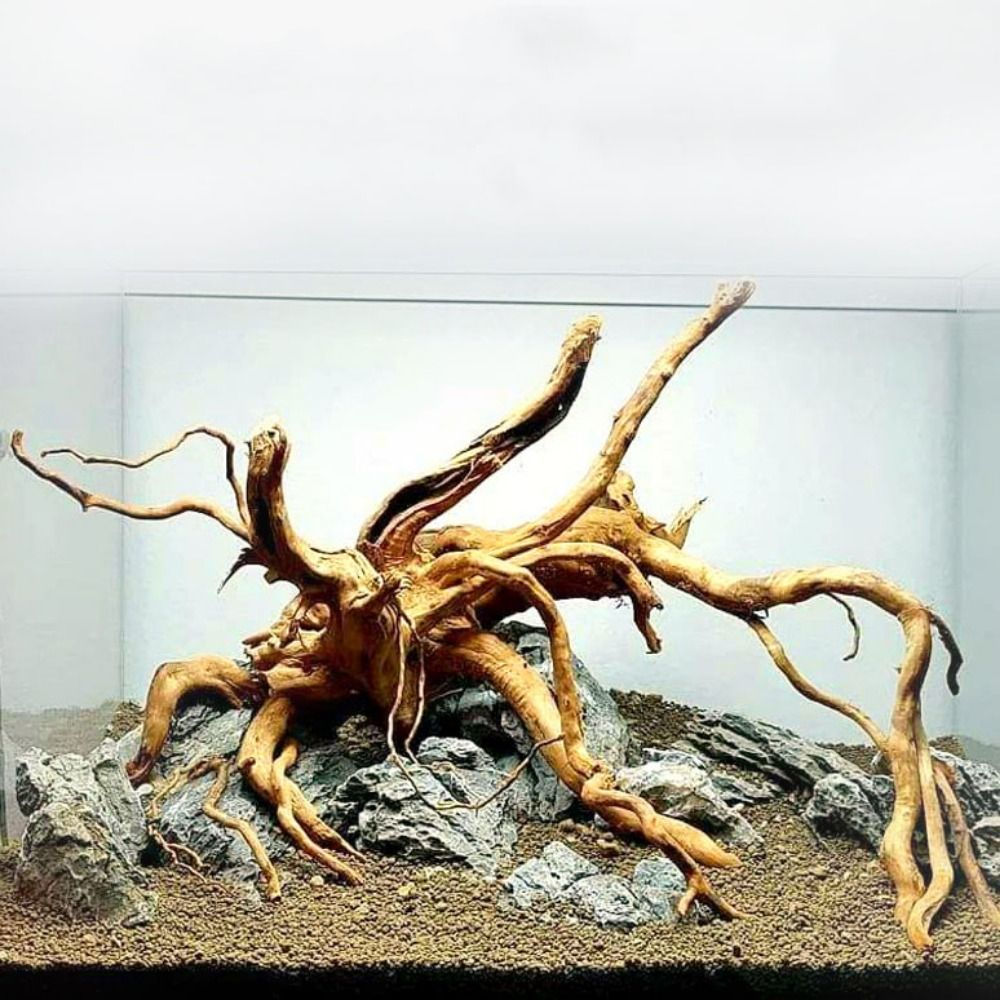 Large Aquarium Driftwood Natural Fish Tank Plant Decor Tree Aquarium Fish Bowl S