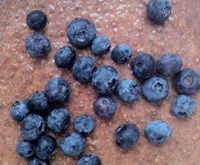 Chia Chocolate Pudding