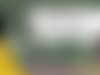 Cunning Carly - Nature Divert (CC06)