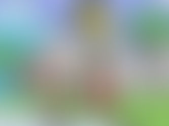 Ham & Ru - Obscene Fashion! (HR06)