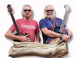 Driftwood_edited.jpg
