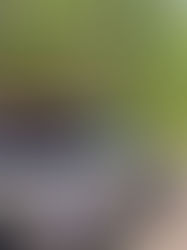 Mini adventure to Mhor