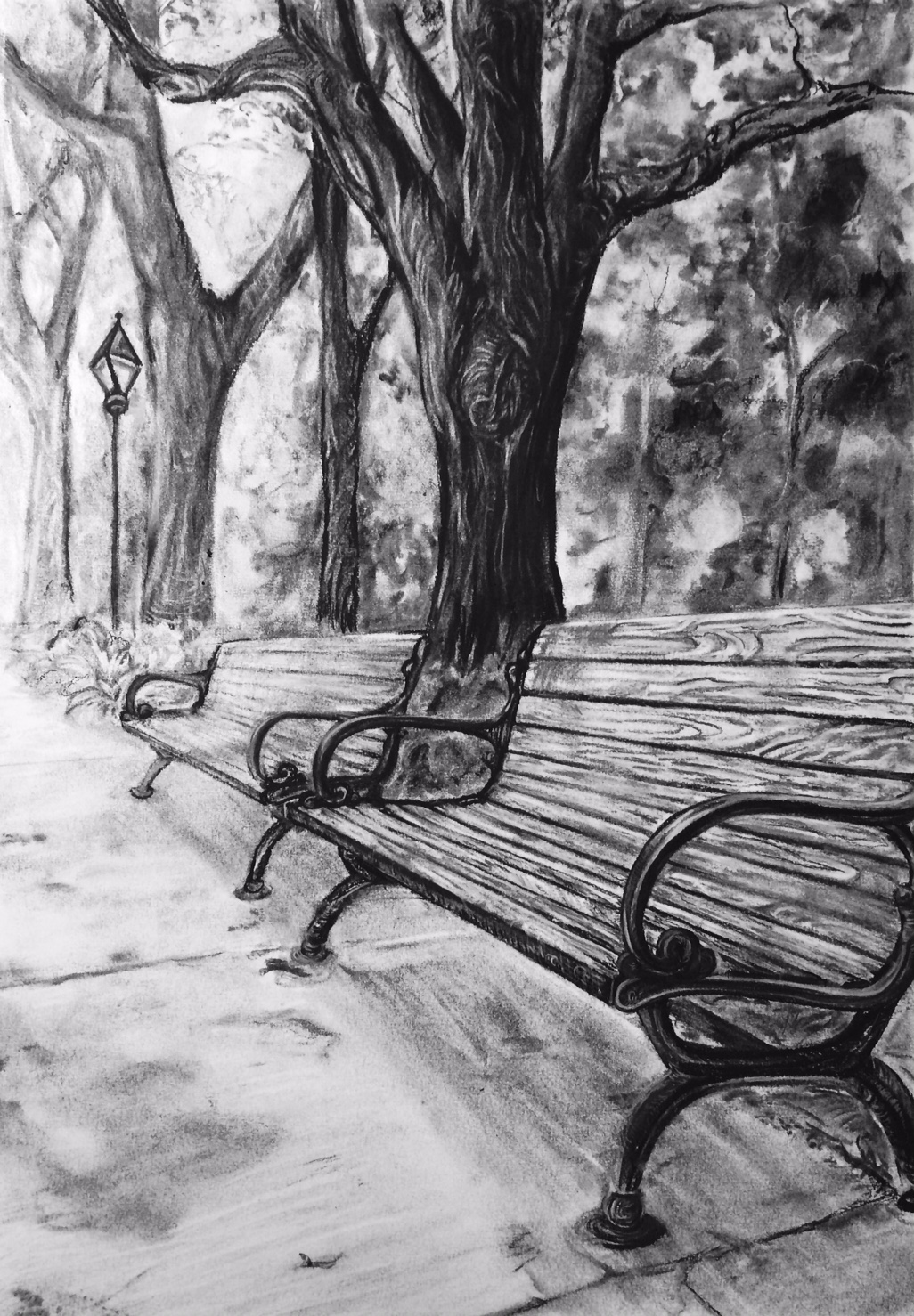 Walk in the park