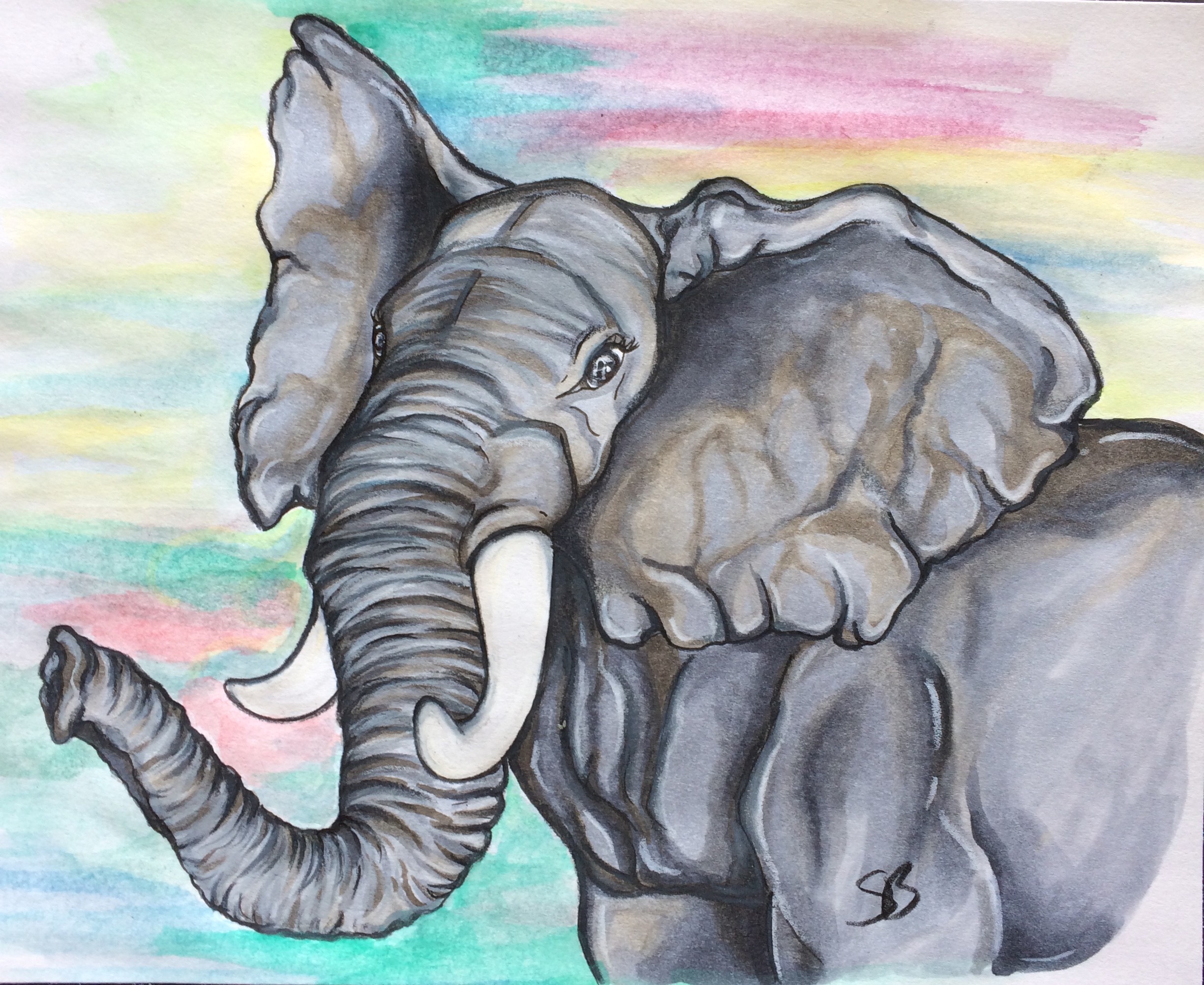 Elephant