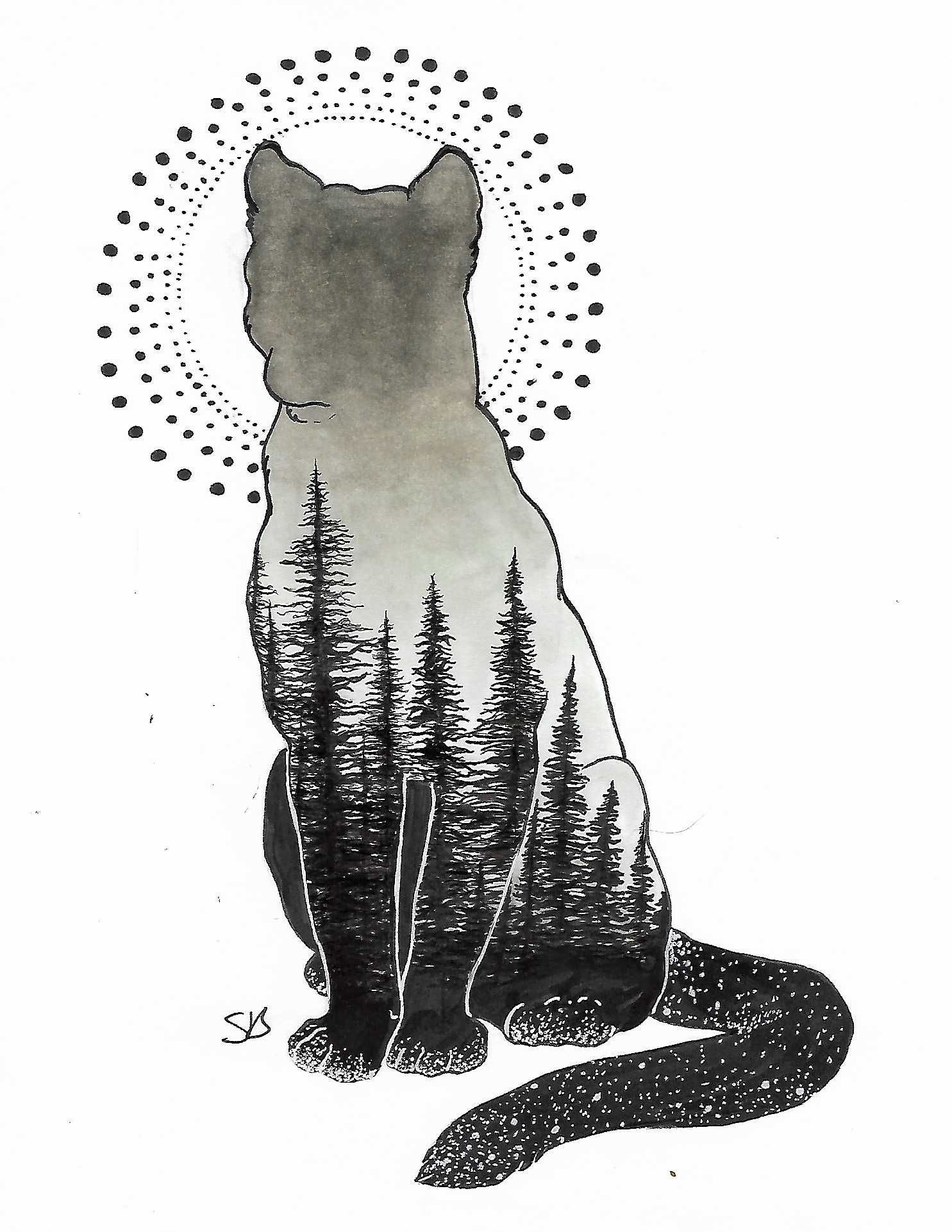 Forrest cat