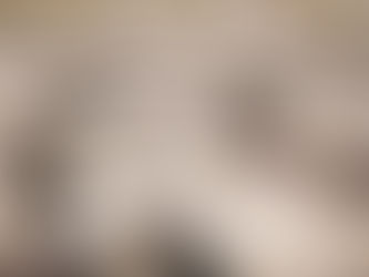 İslami usullere göre hayvan kesim yasağı AİHM önünde 