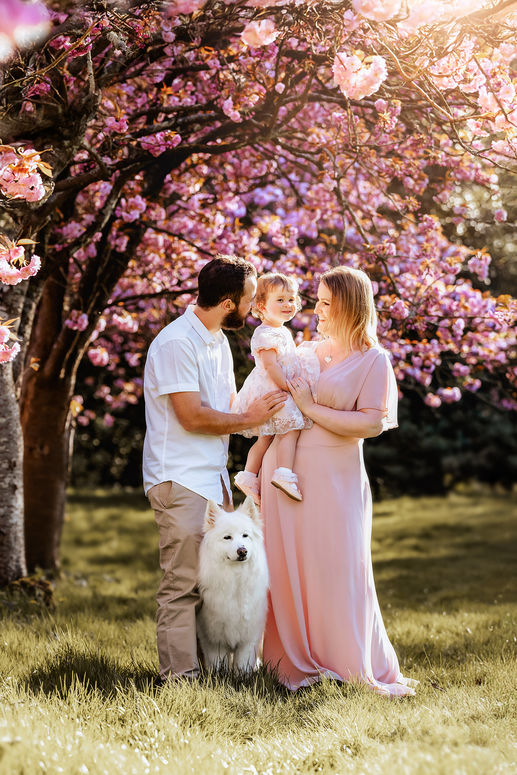Cherry blossom, Child Photoshoot