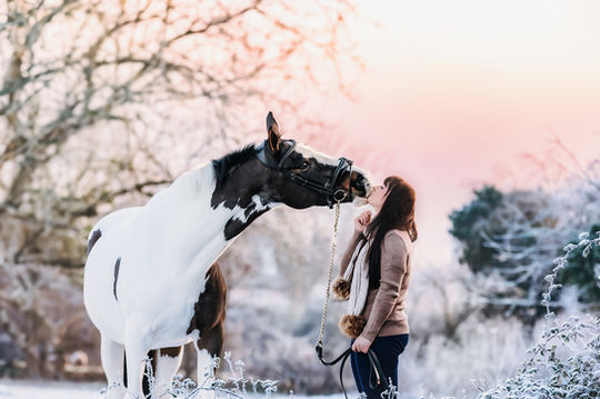 horse and girl kissing in the snow Sevenoaks