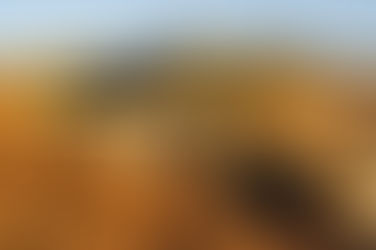 Kolejne dni w ciepłej Kalifornii!