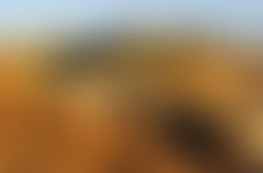 Kolejne dni w ciepłej Kalifornii!