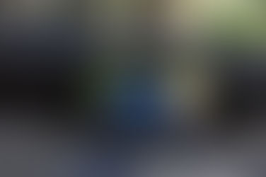 Jeszcze więcej sekwoi!