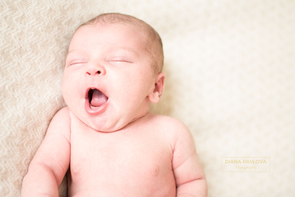 Newborn photography chelsea