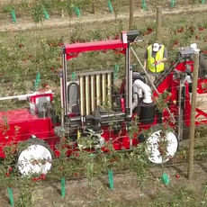 Image Courtesy : Self-Driving Harvesting Robot Literally Suctions the Apples off Trees | Digital Trends