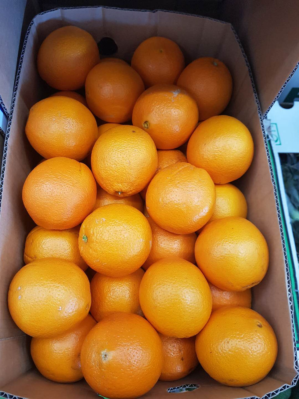 Queenaland Premium Murcott Mandarin 15 kgs