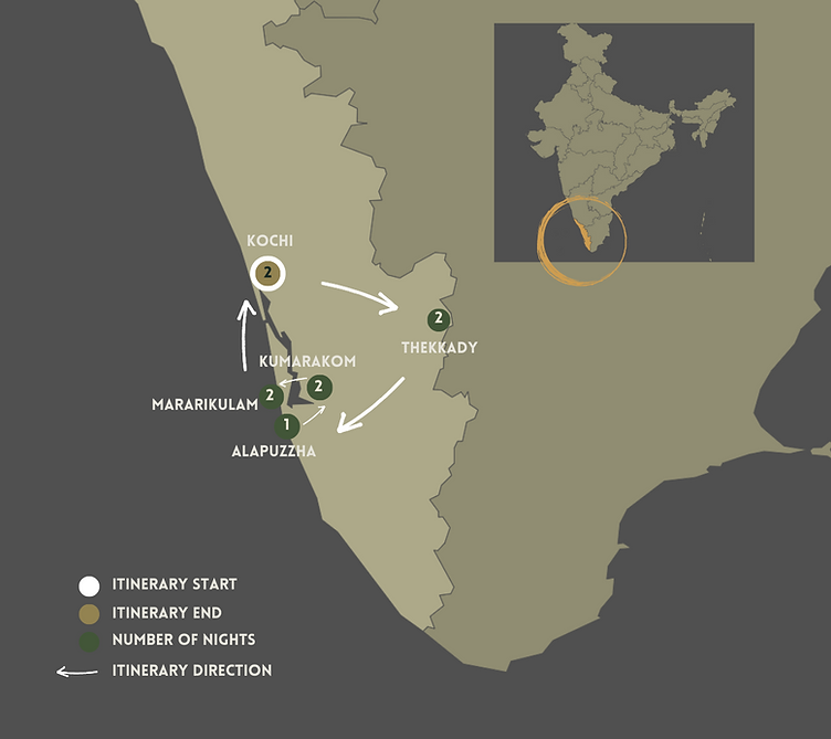 South India Web Images.png