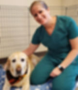 Monitoring Mishaps: How To Troubleshoot Monitoring Equipment During Anesthesia