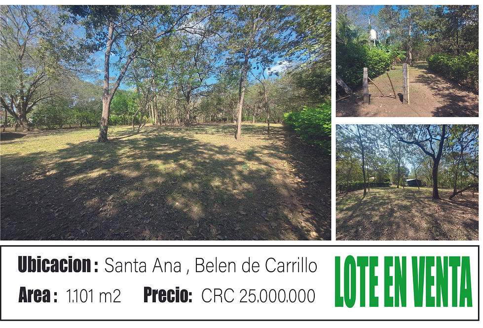 LOTE SANTA ANA - 1101 M2.jpg