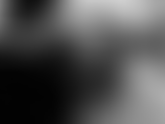 Affordable Extravagance