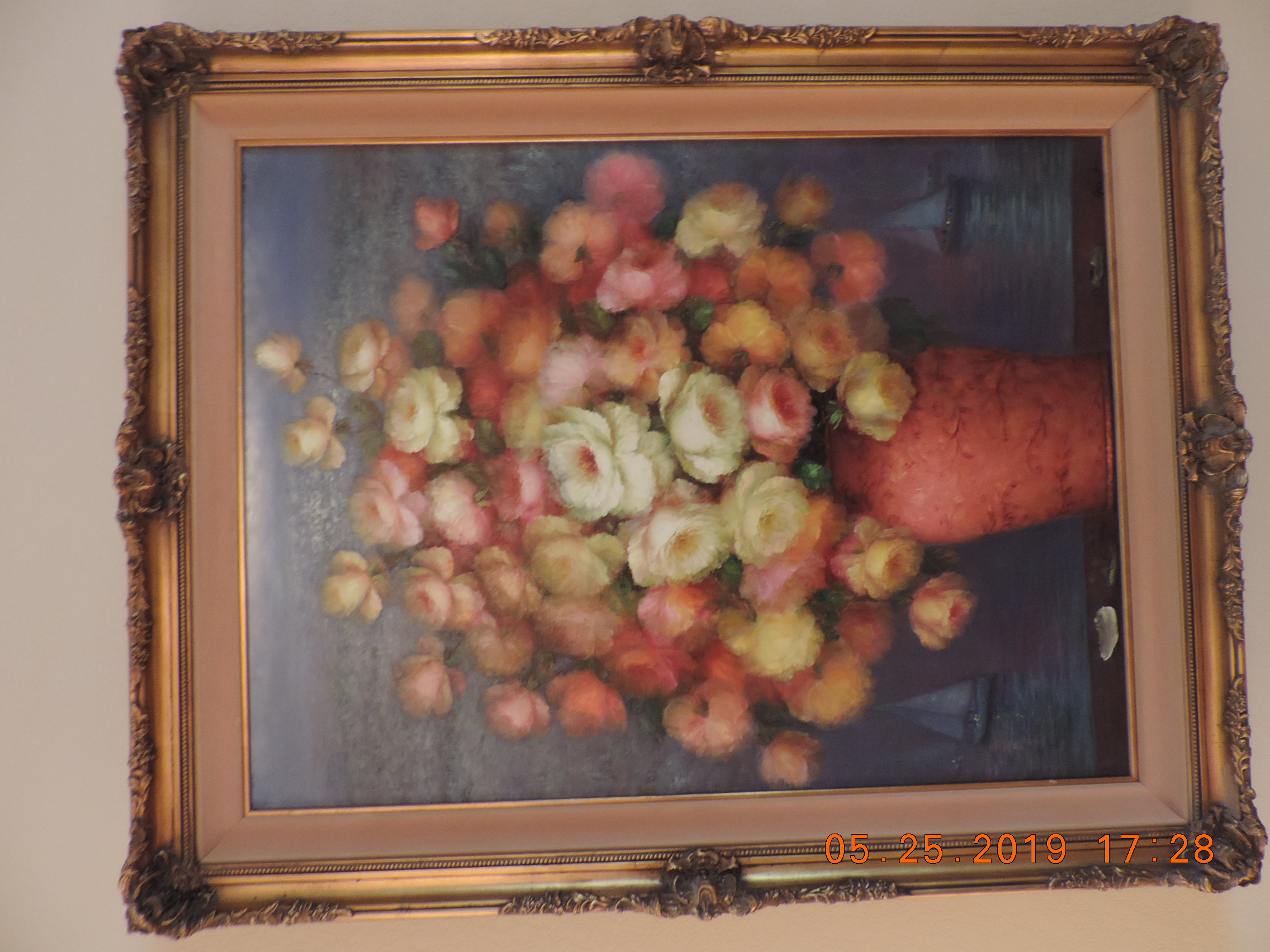DSCN8160