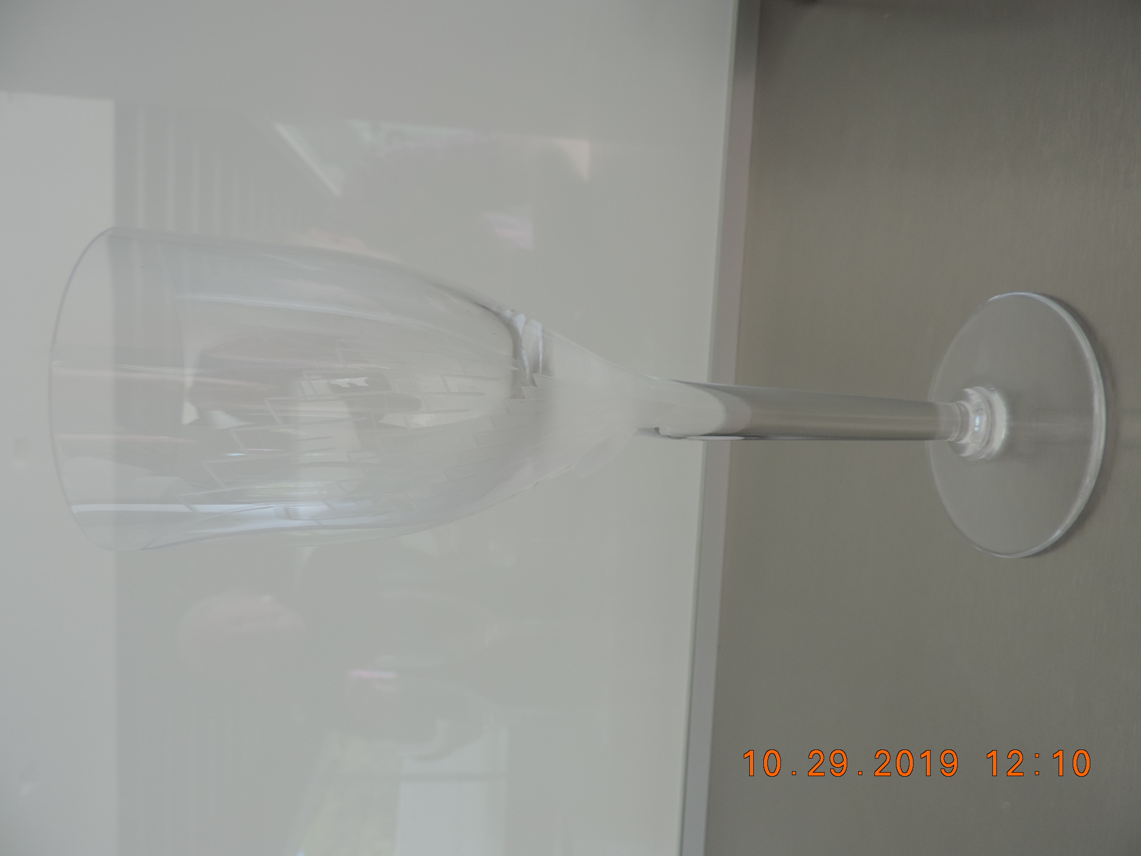 DSCN7667