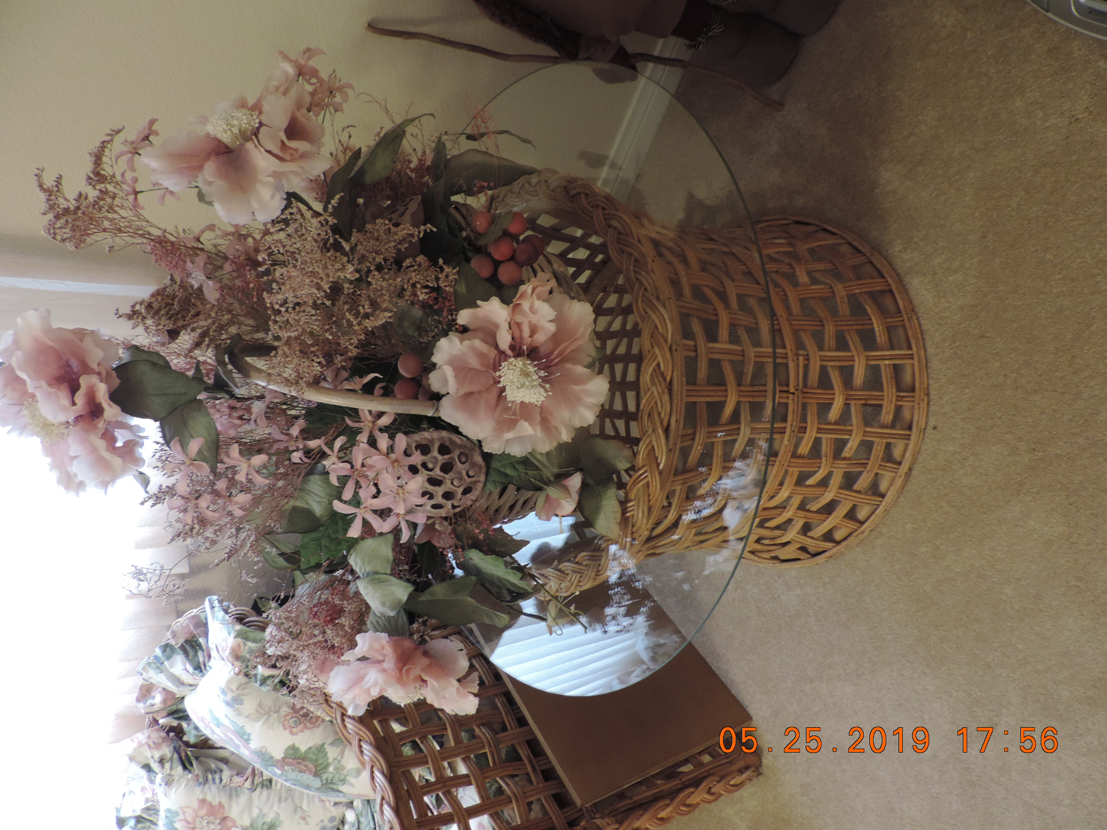 DSCN8281