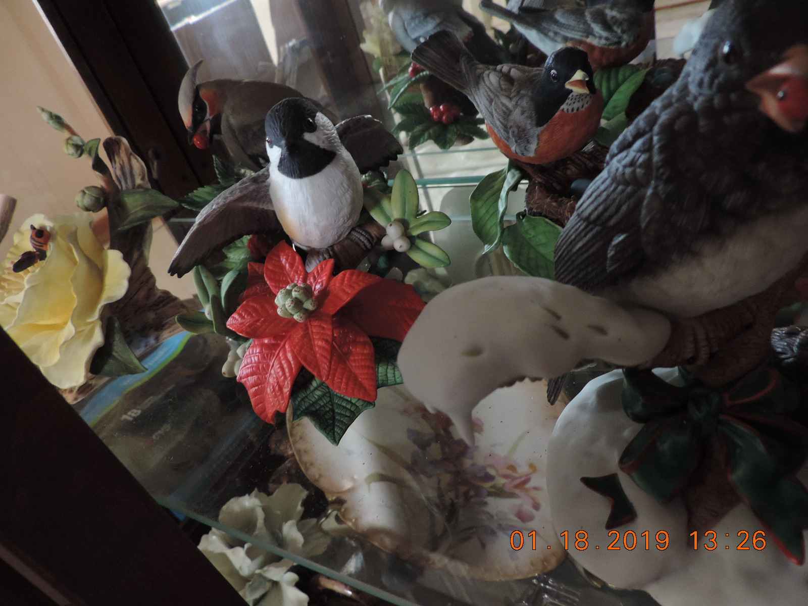 DSCN0013