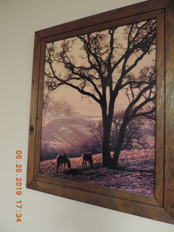 DSCN8188