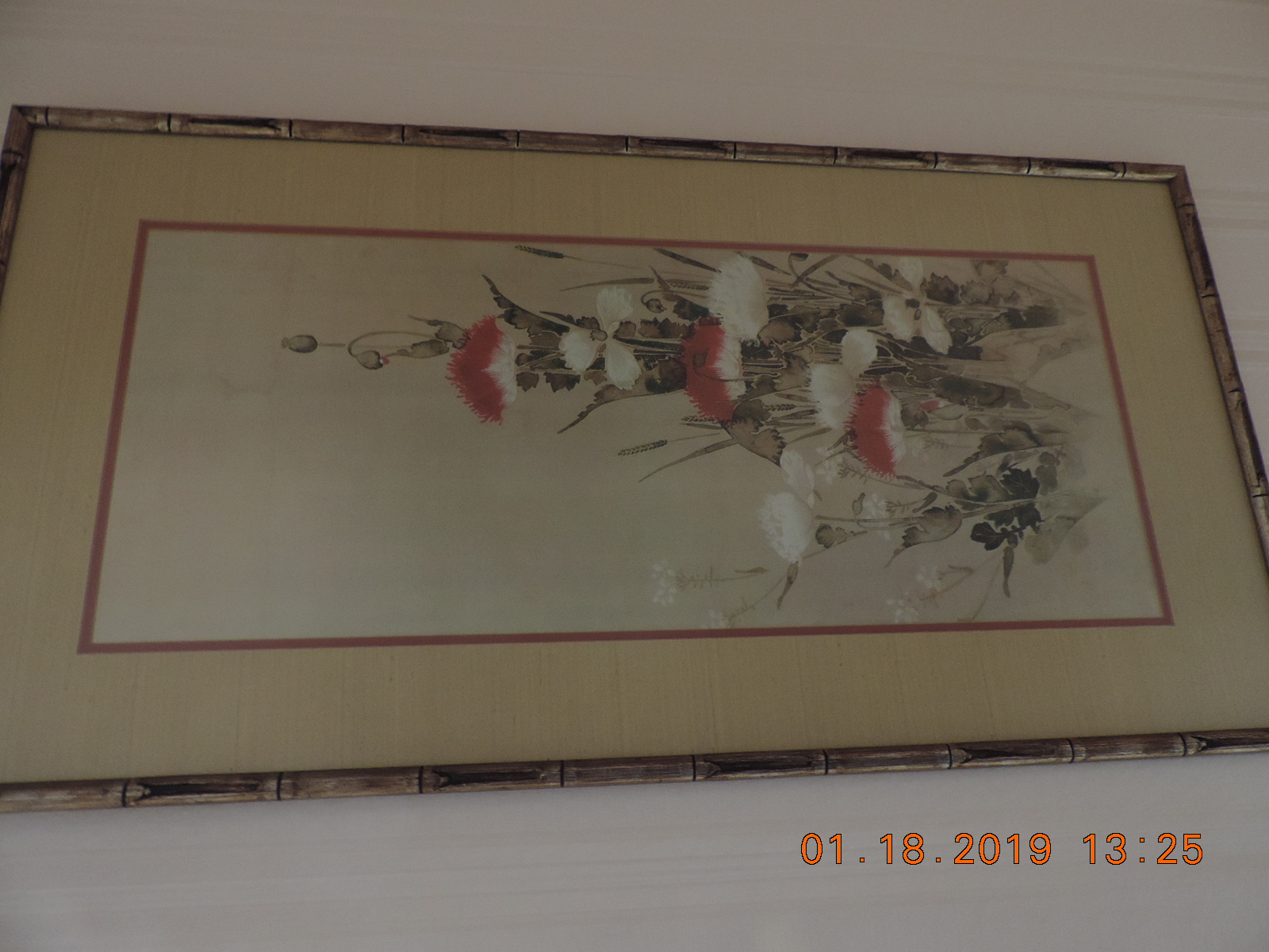 DSCN0009