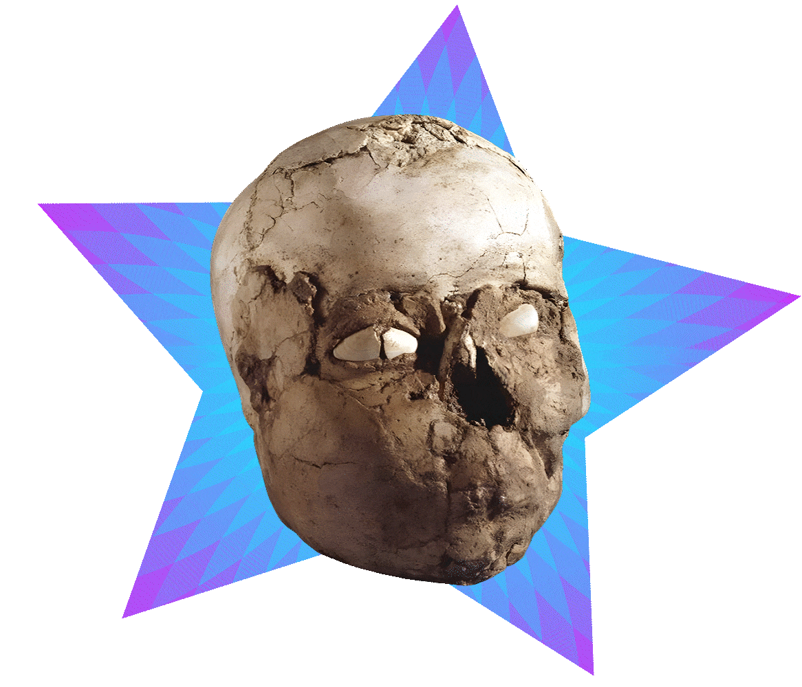 jericho gif optimized.gif