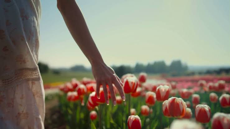 Healing with nature