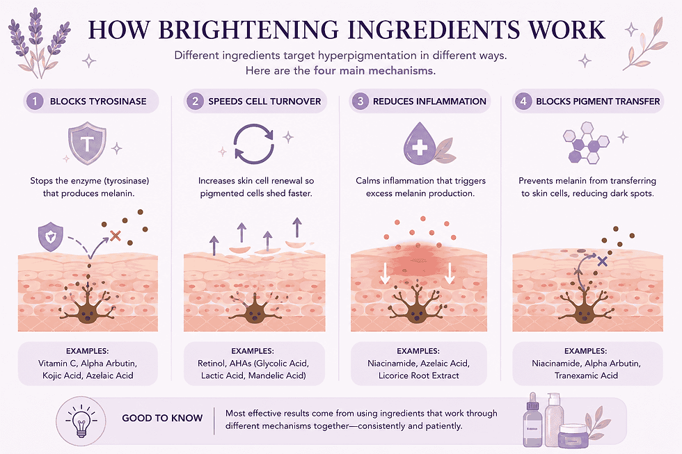 Diagram explaining how skincare ingredients reduce hyperpigmentation by blocking tyrosinase, increasing cell turnover, reducing inflammation, and preventing pigment transfer.