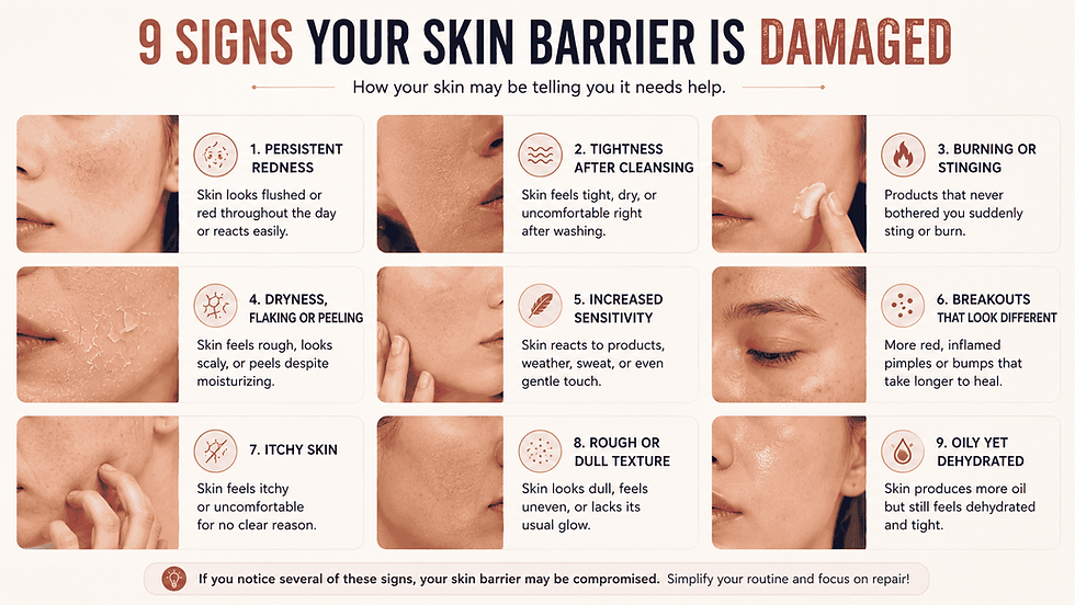 Infographic illustrating nine common signs of a damaged skin barrier, including redness, tightness, burning, dryness, flaking, increased sensitivity, breakouts, itching, and dull skin.