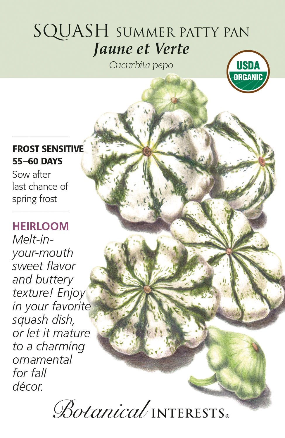 Squash Summer Patty Pan Seeds