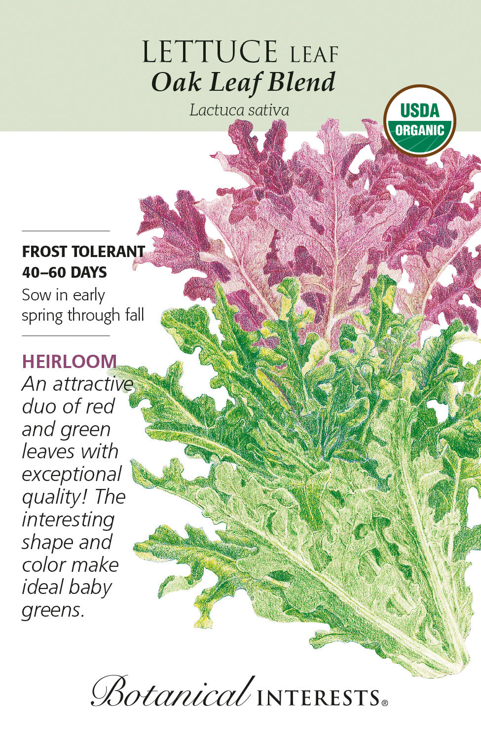 Lettuce Oak Leaf Blend Seeds