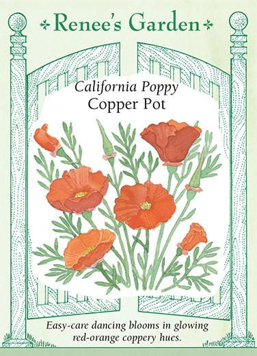 Poppy Cali Copper Pot Seeds