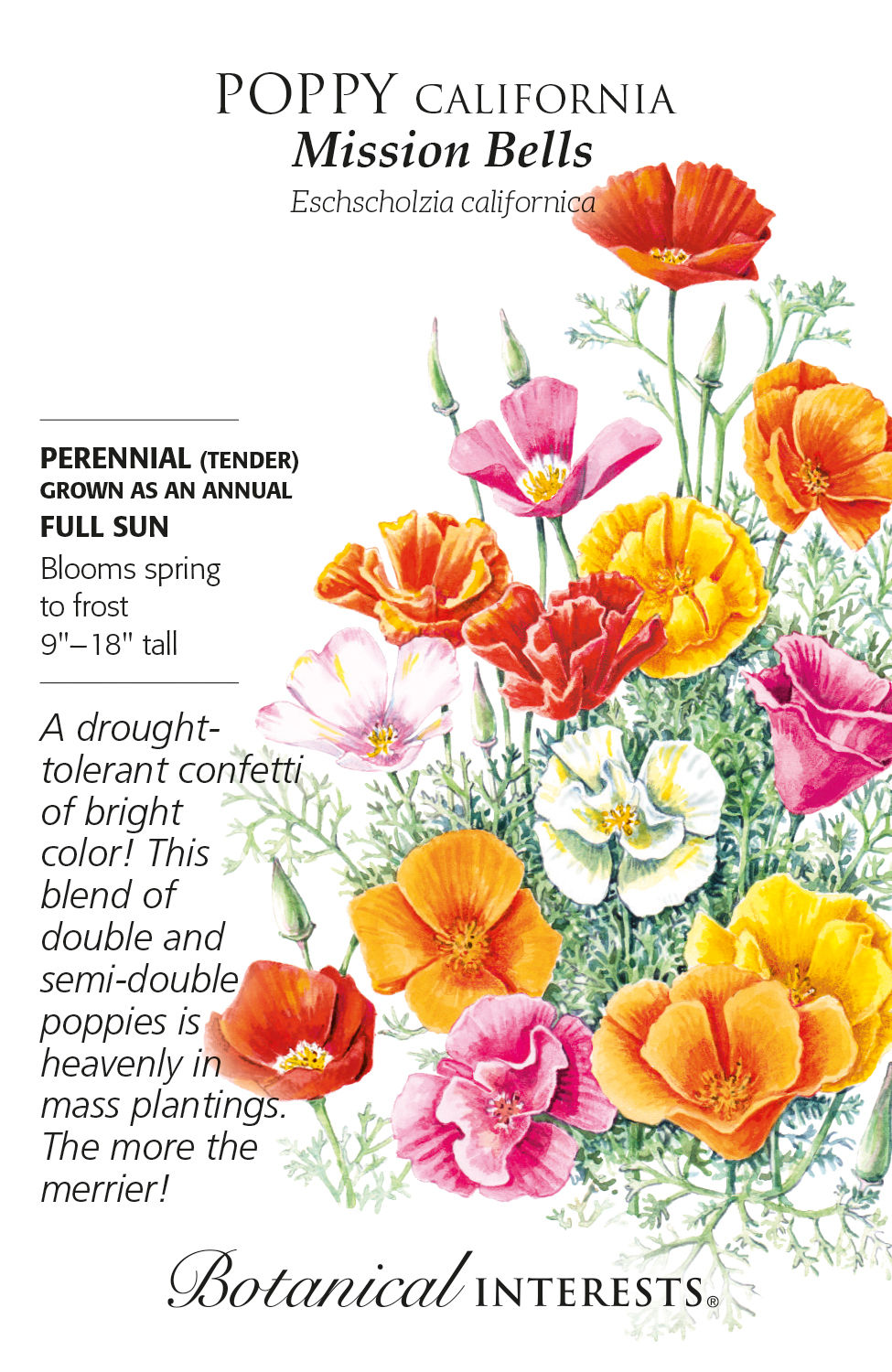 Poppy Cali Mission Bells Seeds