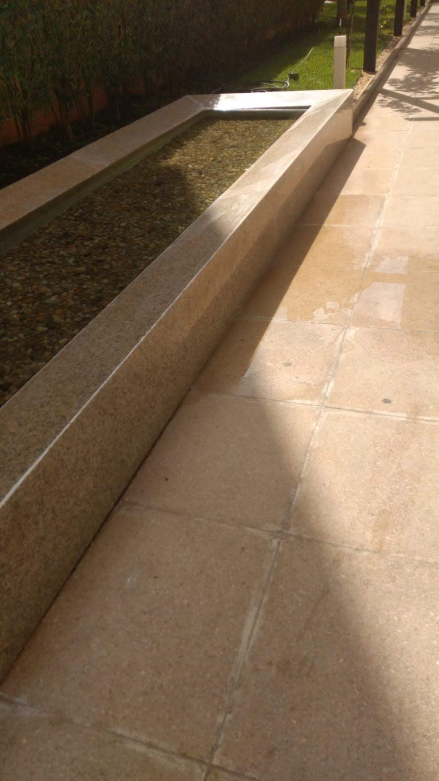 IMG-20191213-WA0012