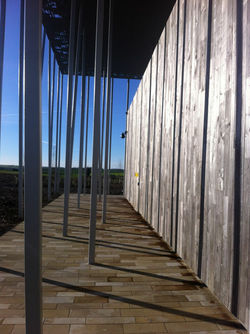 Vertical III
