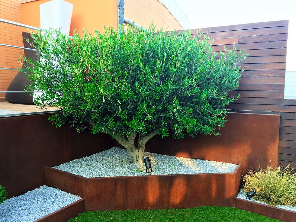 Jardín minimalista