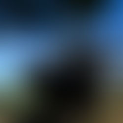 Rincon del Sarandy leva mais de 300 animais às pistas do Leilão Revolution