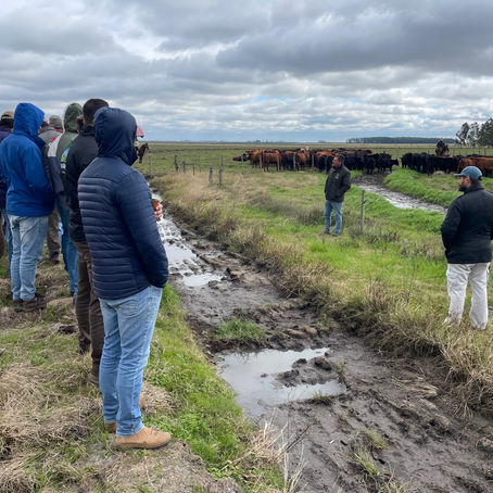 Dia de Campo debate pecuária do amanhã em Uruguaiana